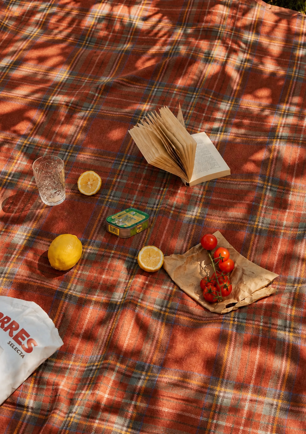 TBCo Wool Picnic Blanket - Thumbnail 2